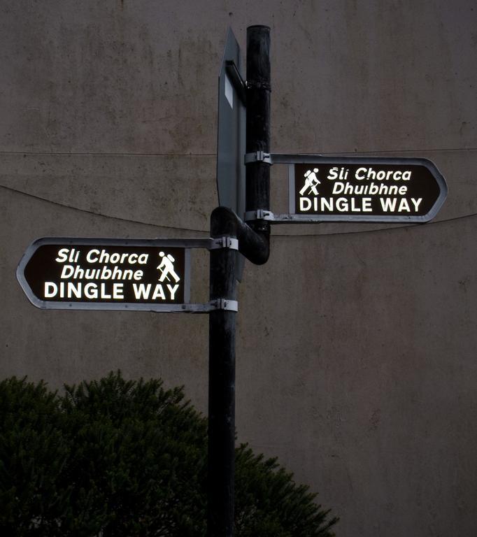 The Dingle Pub Rooms ภายนอก รูปภาพ
